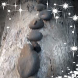 Meet your Posher, Shamar